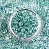 6/0 Glass Seed Beads X-SEED-A016-4mm-216-4