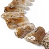 Natural Cherry Blossom Agate Beads Strands G-F719-12-3