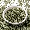 MIYUKI Round Rocailles Beads X-SEED-G008-RR4474-2