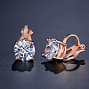 Brass Cubic Zirconia Clip-on Earrings WGE68B6-03-1