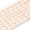 Natural Cultured Freshwater Pearl Beads Strands PEAR-F020-04A-2A-2