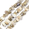 Dyed Natural Freshwater Shell Beads Strands SHEL-P016-01E-1
