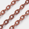 Iron Cable Chains CH-0.9PYSZ-R-1