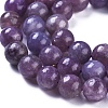 Natural Lepidolite/Purple Mica Stone Beads Strands G-D0020-15-6mm-3