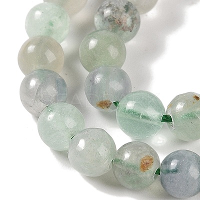 Natural Fluorite Beads Strands G-P530-B04-02-1