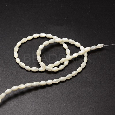 Natural Trochid Shell/Trochus Shell Beads Strands X-SSHEL-K008-06-1