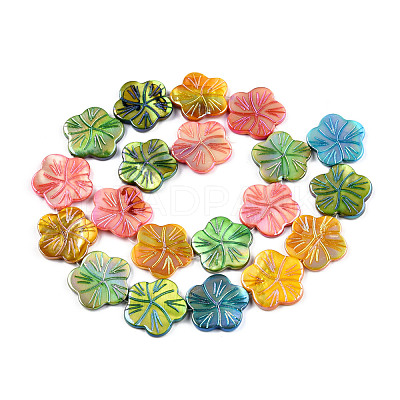 Natural Freshwater Shell Beads Strands SHEL-N026-221A-1