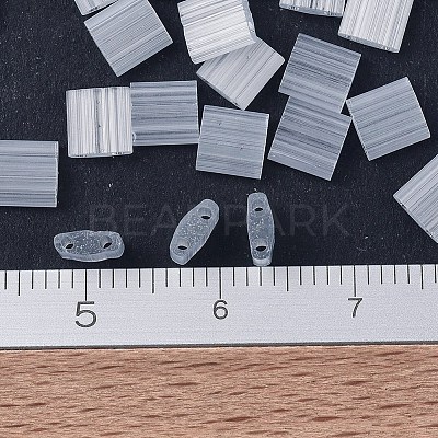MIYUKI TILA Beads SEED-MY05-TL2596-1