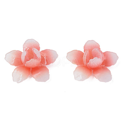 Plastic Beads KY-N015-177-1