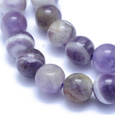 Natural Amethyst Beads Strands X-G-L552H-03B-1