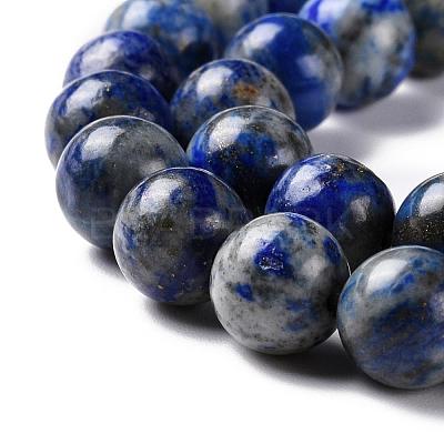 Natural Lapis Lazuli Beads Strands G-G099-8mm-7B-1