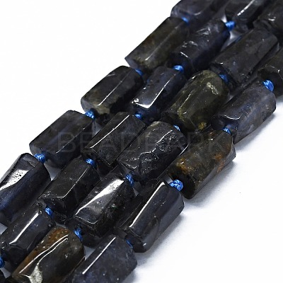 Natural Iolite Beads Strands G-O170-102-1
