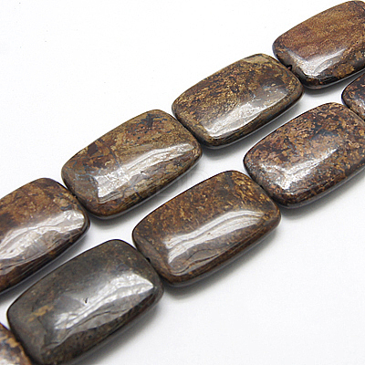 Natural Bronzite Beads Strands G-G229-20x30mm-09-1