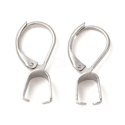 304 Stainless Steel Leverback Earring Findings STAS-U025-01P-02-1