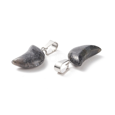 Natural Larvikite Pendants G-Q369-16-1