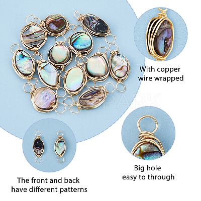 12Pcs 2 Styles Natural Abalone Shell/Paua Shell Copper Wire Wrapped Connector Charms PALLOY-AB00261-1