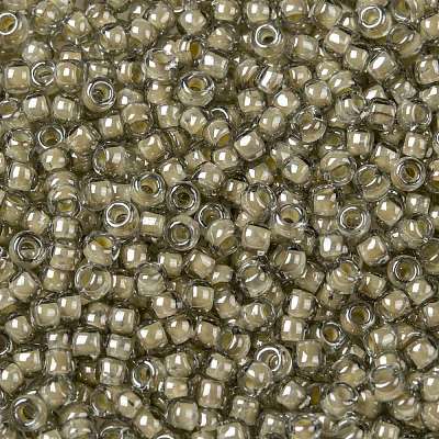 TOHO 8/0 Round Beads SEED-XTR08-0369-1