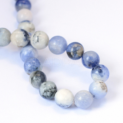 Natural Sodalite Round Bead Strands X-G-E334-10mm-08-1
