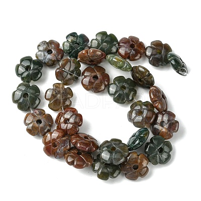 Natural Indian Agate Beads Strands G-H023-B06-01-1