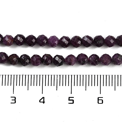 Natural Ruby Beads Strands G-P553-G01-03-1