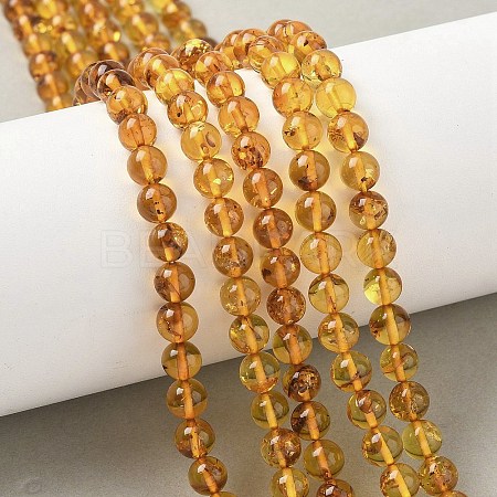 Natural Amber Beads Strands G-L095-B01-6mm-02-1
