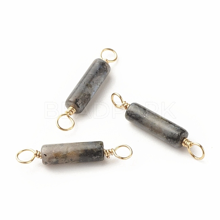 Natural Larvikite Connector Charms PALLOY-JF01454-05-1