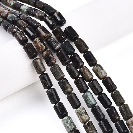 Natural Biotite Beads Strands G-N346-01B-02-1