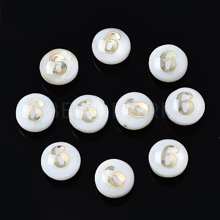 Natural Freshwater Shell Beads SHEL-N003-20-06-1