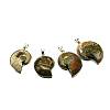 Brass Gemstone Shell Pendants SSHEL-F0006-01-4