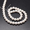 Shell Pearl Beads Strands BSHE-E008-8mm-12-3