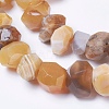 Natural Botswana Agate Beads Strands G-F568-220-3