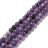 Natural Lepidolite/Purple Mica Stone Beads Strands G-B029-B03-01-1