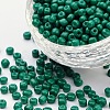 Baking Paint Glass Seed Beads SEED-US0003-4mm-K26-1