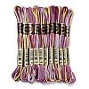10 Skeins 6-Ply Polyester Embroidery Floss OCOR-K006-A76-1