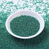 MIYUKI Round Rocailles Beads SEED-JP0008-RR0295-2