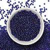 FGB 8/0 Grade A Round Glass Seed Beads SEED-Q010-3mm-F544-5