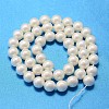 Round Shell Pearl Bead Strands BSHE-L011-4mm-A013A-3