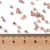 Glass Seed Beads SEED-S042-13A-17-4