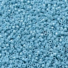 MIYUKI Delica Beads SEED-X0054-DB0217-3