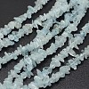 Chips Natural Aquamarine Beads Strands G-N0164-24-1