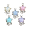 Alloy Resin Pendants RE-CBA4818-02P-1