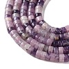 Natural Lepidolite/Purple Mica Stone Beads Strands G-M420-A19-01-4