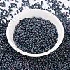 MIYUKI Round Rocailles Beads X-SEED-G008-RR2009-4