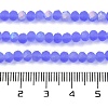 Transparent Glass Beads Strands LS-EGLA-A034-T4mm-MB14-5
