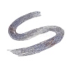 Natural Iolite Beads Strands G-F789-02-3