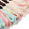 10 Skeins 6-Ply Polyester Embroidery Floss OCOR-K006-A74-2