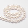 Shell Pearl Bead Strands BSHE-L026-03-6mm-3