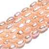 Natural Cultured Freshwater Pearl Beads Strands PEAR-N012-03M-4
