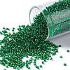 TOHO Round Seed Beads SEED-XTR15-0036-1