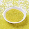 MIYUKI Round Rocailles Beads SEED-G007-RR0252-2